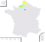 Cerastium ×maureri M.Schulze - carte de répartition