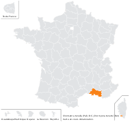 Chorispora tenella (Pall.) DC. - carte de répartition
