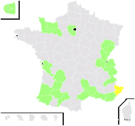 Cichorium commune Pall. - carte de répartition
