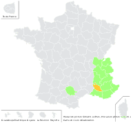 Hieracium pictum Schleich. ex Pers. - carte de répartition