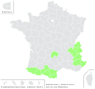 Astrantia alpina Clairv. - carte de répartition