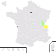 Cirsium ×heerianum Nägeli - carte de répartition