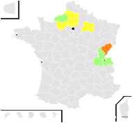 Cirsium ×hybridum Koch ex DC. - carte de répartition