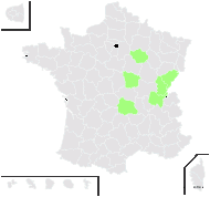 Cirsium ×semidecurrens Richt. - carte de répartition