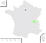 Cirsium ×michaletii Rouy - carte de répartition