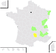 Cirsium ×medium All. - carte de répartition