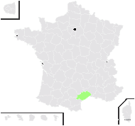 Cistus ×neyrautii Verg. - carte de répartition