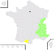 Hieracium villosum Jacq. - carte de répartition