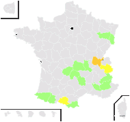 Hieracium mougeotii Froel. ex W.D.J.Koch - carte de répartition