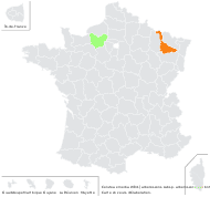 Colutea ×media Willd. - carte de répartition
