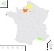 Convolvulus tricolor L. subsp. tricolor - carte de répartition