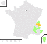 Pilosella anchusoides Arv.-Touv. - carte de répartition