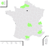 Cotoneaster franchetii Bois - carte de répartition