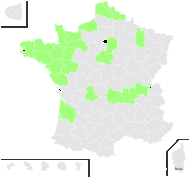 Tillaea helmsii Kirk - carte de répartition