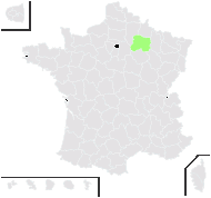 Crocus luteus Lam. - carte de répartition