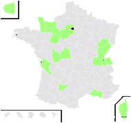 Cynodon dactylon (L.) Pers. var. dactylon - carte de répartition