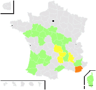 Cyperus buchananii Böck. - carte de répartition