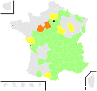 Hypochaeris carpatica Pax - carte de répartition