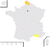 Dactyloctenium aegyptium (L.) Willd. - carte de répartition