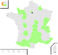 Orchis solida Moench - carte de répartition