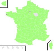 Inula vulgaris Trévis. - carte de répartition