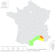 Pentanema helenioides (DC.) D.Gut.Larr., Santos-Vicente, Anderb., E.Rico & M.M.Mart.Ort. - carte de répartition