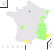 Pentanema helveticum (Weber) D.Gut.Larr., Santos-Vicente, Anderb., E.Rico & M.M.Mart.Ort. - carte de répartition