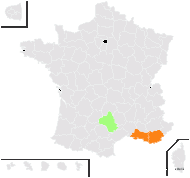 Diplotaxis tenuisiliqua Delile - carte de répartition