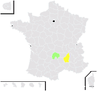 Doronicum ×pardalianchoides Bornm. & W.Koch - carte de répartition