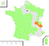 Nephrodium distans (Viv.) Ces., Pass. & Gibelli - carte de répartition