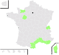 Elytrigia elongata (Host) Nevski - carte de répartition