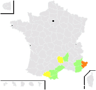 Lactuca tenerrima Pourr. - carte de répartition