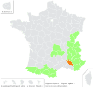 Erigeron alpinus L. - carte de répartition