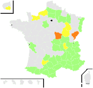 Erucastrum nasturtiifolium (Poir.) O.E.Schulz - carte de répartition