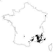 Thrixia hirta (L.) Dulac - carte des observations
