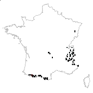 Scorzoneroides pyrenaica (Gouan) Holub - carte des observations