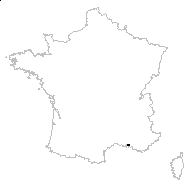 Gagea mauritanica Durieu ex Coss. - carte des observations