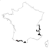 Matricaria alpina (L.) Desr. - carte des observations