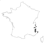 Pyrethrum allionii Rouy - carte des observations