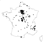 Chamomilla vulgaris Gray - carte des observations