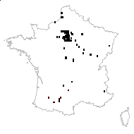 Matricaria chamomilla L. - carte des observations