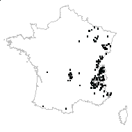 Petasites ramosus (Hoppe) Baumg. - carte des observations