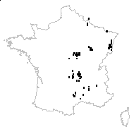 Hieracium glaucinum Jord. - carte des observations