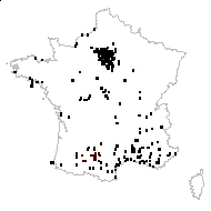 Crepis echioides (L.) All. - carte des observations