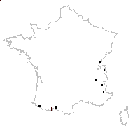 Picris sonchoides var. monticola (Lamotte) Rouy - carte des observations