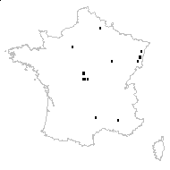 Hieracium maculatum Schrank - carte des observations