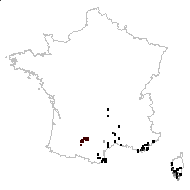 Senecio lividus proles litardierei Rouy - carte des observations
