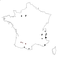 Lathyrus pratensis L. var. pratensis - carte des observations