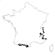 Leucanthemopsis alpina (L.) Heywood subsp. alpina var. alpina - carte des observations