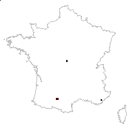 Lupinus leucospermus Boiss. & Reut. - carte des observations